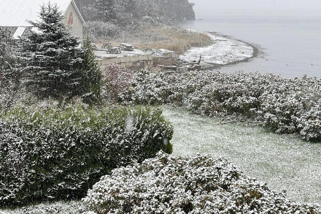 Finn'S Studio, Fundy Park Alma Εξωτερικό φωτογραφία